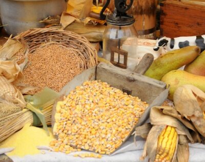 field/image/1454004364_ceraeli farine grano.jpg