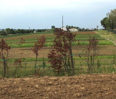 field/image/1455181625_campi.JPG