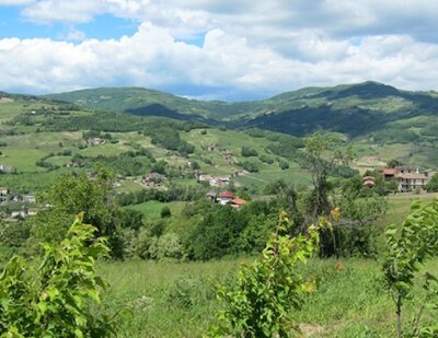 foto articolo newsageagro