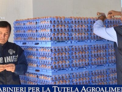 foto articolo newsageagro